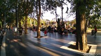 Selain banyak fasilitas, taman ini juga punya sisi teduh untuk bersantai. (Aditya Mardiastuti/detikTravel)