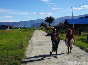 6 Tips Menghindari Malaria, Ini Obat Tradisional Orang Papua