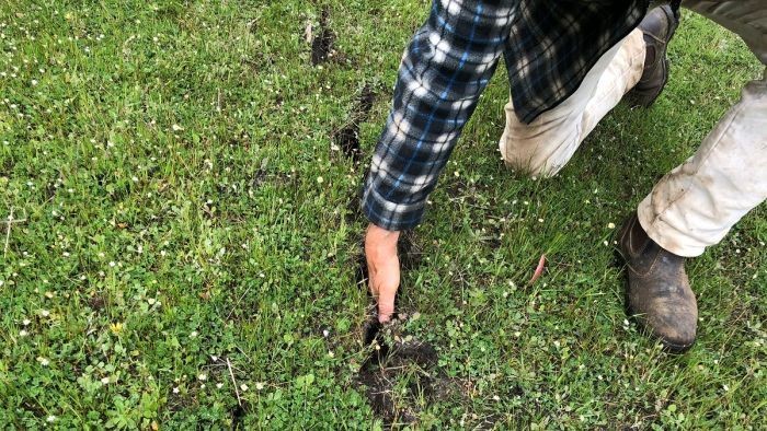 Peternak Domba di Australia Kaget Temukan Lahannya Retak Akibat Gempa