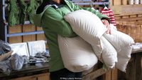 Satu selimut dengan bulu eider terbaik dihargai Rp 226,1 juta (Meg Lukens Noonan/BBC Travel)