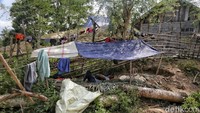 Mereka mengungsi di tenda-tenda darurat.