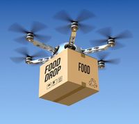 Ngidam Makanan China, Napi Ini Selundupkan Makanan Lewat Drone