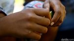 Kenalkan, Nobi Si Bocah Pemanjat Pohon Pinang asal Jayapura