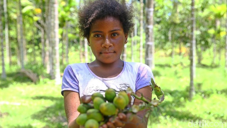 Kenalkan Nobi Bocah 10 Tahun Pemanjat Pohon Pinang Bocah 10 tahun asal Jayapura bernama Nobi gemar mengunyah buah pinang. Saking gemarnya, Nobi sampai memetik sendiri buah tersebut di puncak pohon.