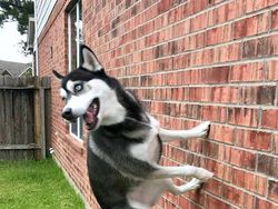 Potret Gravitasi yang Bikin Mata Harus Lihat Berkali-kali