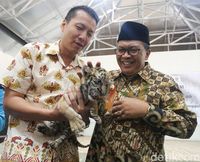  Kenalkan, Donggalah Si Bayi Harimau Benggala di Bunbin Bandung