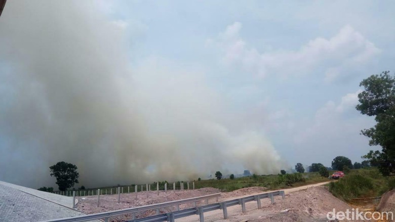 Kebakaran Lahan di Sumsel, Asap Mulai Selimuti Tol Palindra Kebakaran Lahan di Sumsel, Asap Mulai Selimuti Tol Palindra