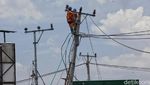Melihat Pekerja PLN Berjibaku Perbaiki Jaringan Listrik Palu