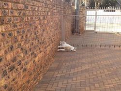 Potret Gravitasi yang Bikin Mata Harus Lihat Berkali-kali