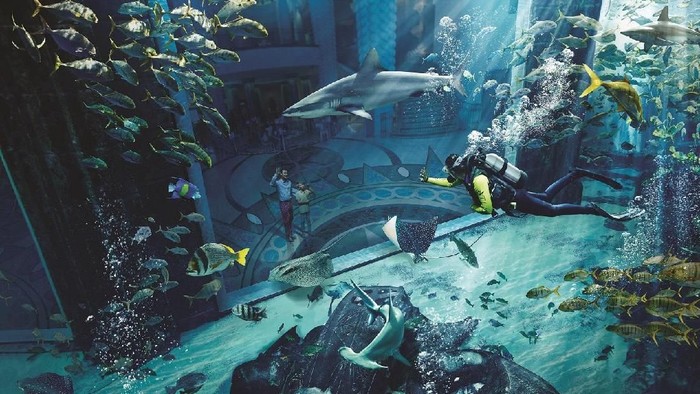 6 Alasan Harus Coba Liburan ke Hainan