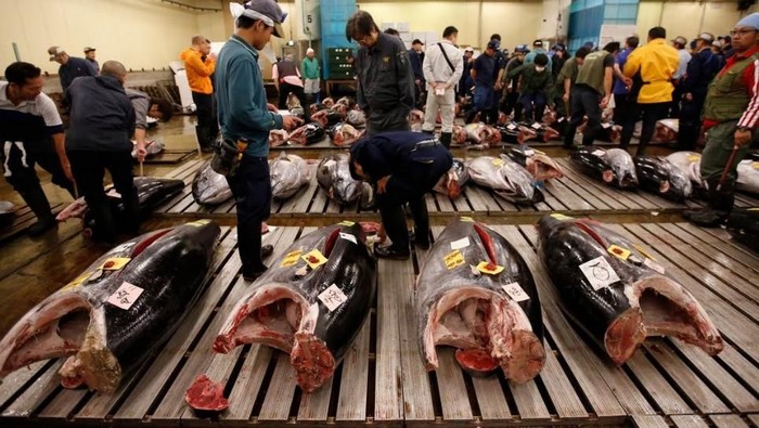 relokasi pasar tsukiji