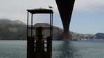 10 Rahasia Golden Gate Bridge dalam 7 Foto