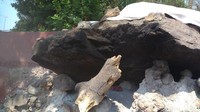 Namanya Batu Tameng, berada di pinggir Jalan Raya Sunan Gunungjati, Kecamatan Gunungjati, Kabupaten Cirebon. Tepatnya di kompleks makam Sunan Gunung Jati. (Sudirman Wamad/detikTravel)