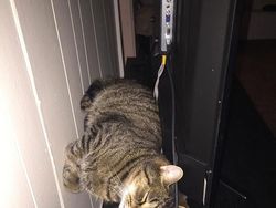 Potret Gravitasi yang Bikin Mata Harus Lihat Berkali-kali