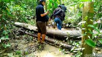 Sensasi Nyeker di Hutan Tapal Batas, Dipandu Agung Berkaki Empat