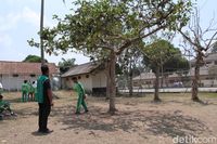 Sumedang Typical Bojingseungit Coffee Grown by PPN Middle School Students