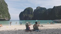 Maya Bay Galau, Turis Datang tapi Hiu-hiunya Kabur
