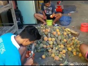 Nanas Kuntet, Kecil Tapi Bikin Tebal Isi Dompet