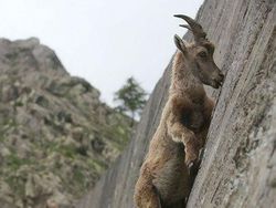 Potret Gravitasi yang Bikin Mata Harus Lihat Berkali-kali