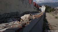 Saat ini puing-puing pagar masih berserakan di tanah.