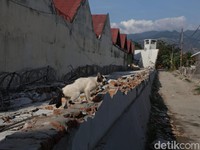 Rumahmu Masuk Wilayah Rawan Gempa Nggak Ya? Cek di Sini