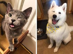 Deretan Foto Memukau Diambil Saat Momen yang Tepat