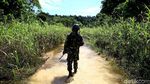 Ekspedisi Membelah Hutan Terdepan Indonesia di Jayapura