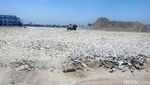 Proyek Makassar New Port Rp 2,5 T Digarap, Ini Penampakannya