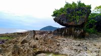 Ada Potensi Wisata di Patok Negara Tepi Samudera Pasifik