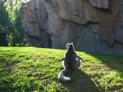 Deretan Foto Memukau Diambil Saat Momen yang Tepat