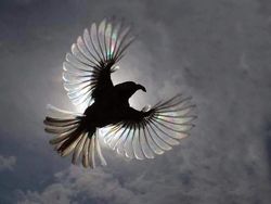 Deretan Foto Memukau Diambil Saat Momen yang Tepat