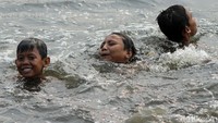 Meski kotor dan berlumpur mereka tetap senang berenang.