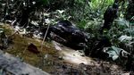 Ekspedisi Membelah Hutan Terdepan Indonesia di Jayapura