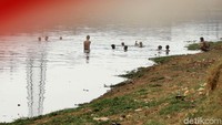 Mereka berenang pada sore hari.