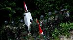 Perjuangan Menembus Perbatasan RI-PNG Menuju Patok Negara