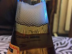 Deretan Foto Memukau Diambil Saat Momen yang Tepat