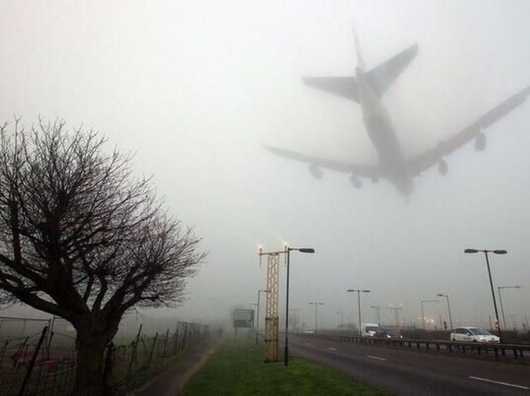 Deretan Foto Memukau Diambil Saat Momen yang Tepat