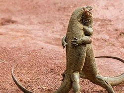 Deretan Foto Memukau Diambil Saat Momen yang Tepat