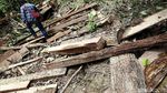 Ekspedisi Membelah Hutan Terdepan Indonesia di Jayapura