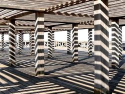 Deretan Foto Memukau Diambil Saat Momen yang Tepat