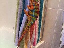 Deretan Foto Memukau Diambil Saat Momen yang Tepat