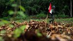 Perjuangan Menembus Perbatasan RI-PNG Menuju Patok Negara