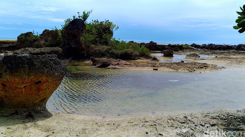Ada Potensi Wisata di Patok Negara Tepi Samudera Pasifik Ada Potensi Wisata di Patok Negara Tepi Samudera Pasifik