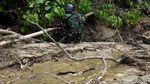 Seperti Jepang, Perbatasan RI-Papua Nugini Juga Punya Onsen