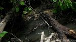Seperti Jepang, Perbatasan RI-Papua Nugini Juga Punya Onsen