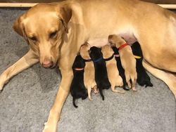 Deretan Foto Memukau Diambil Saat Momen yang Tepat