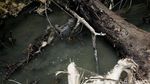 Seperti Jepang, Perbatasan RI-Papua Nugini Juga Punya Onsen