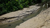 Kampung Mosso dapat dijangkau dari Kota Jayapura dengan menempuh perjalanan 65 km ke arah PLBN Skouw selama dua jam (Muhammad Ridho Suhandi/detikTravel)