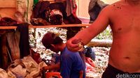 Pepohonan Ditebang dan Hewan Diburu di Hutan Perbatasan