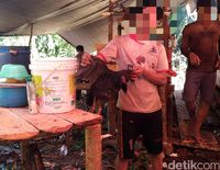 Pepohonan Ditebang Dan Hewan Diburu Di Hutan Perbatasan